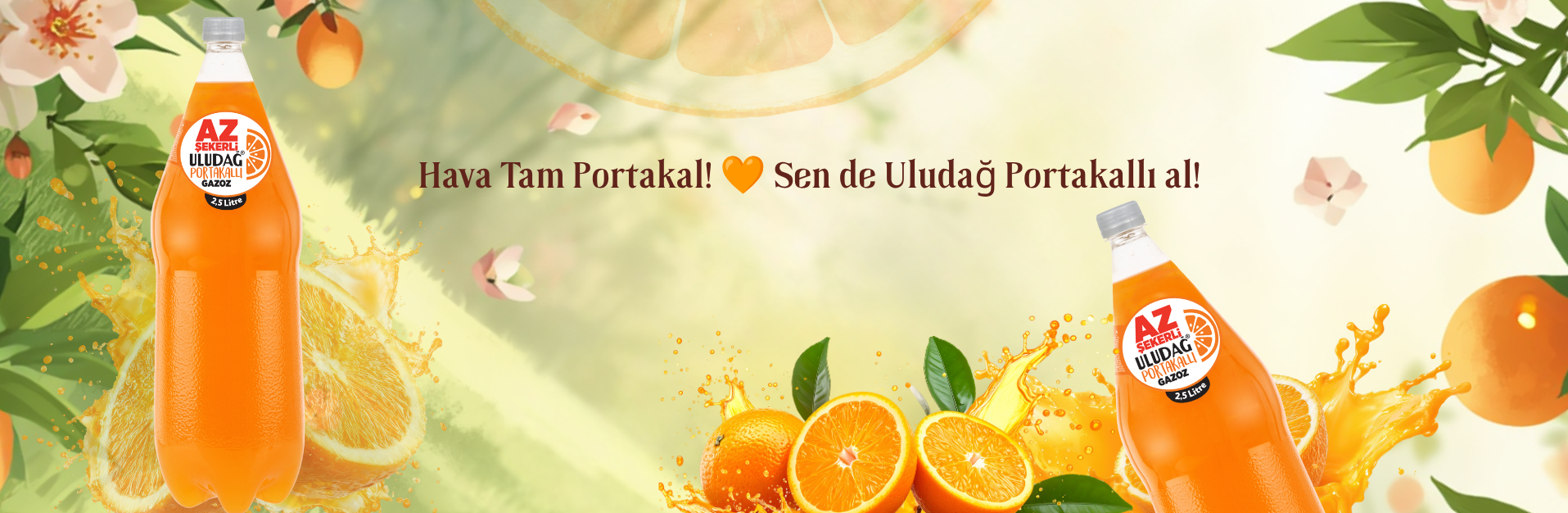 portakal havası