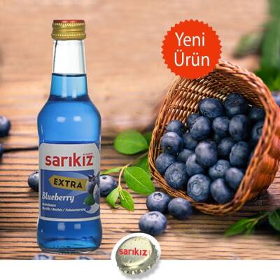 Sarıkız 200 ML Ext.Yaban Mersini Maden Suyu Koli 24 lü - 1