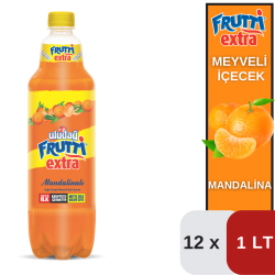 Uludağ 1 LT Frut.Ext.Mandalina Koli 12 li - ULUDAĞ