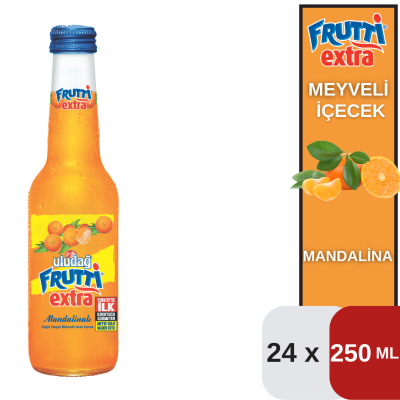 Uludağ 250 ML Frt.Ext.Mandalina Koli 24 lü - 1