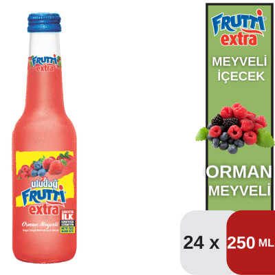 Uludağ 250 ML Frut.Ext.Orman Meyveli Koli 24 lü - 1