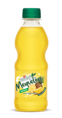 Uludağ 250 ML Meyvelim Ananas Pet Koli 12 li - 1